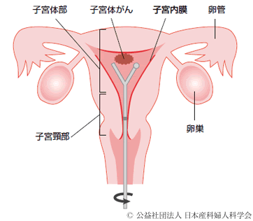 しらいレディースクリニック 豊中市 西泉丘